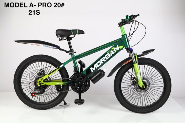 Morgan 20-Inch Cycle for Kids (Ages 8–11)