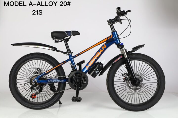 Morgan 20-Inch Cycle for Kids (Ages 8–11)
